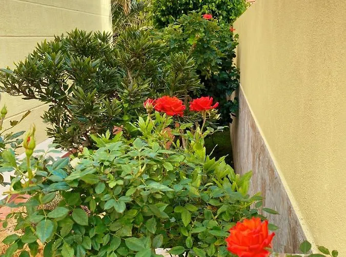 Ξενοδοχείο 8 Islas *